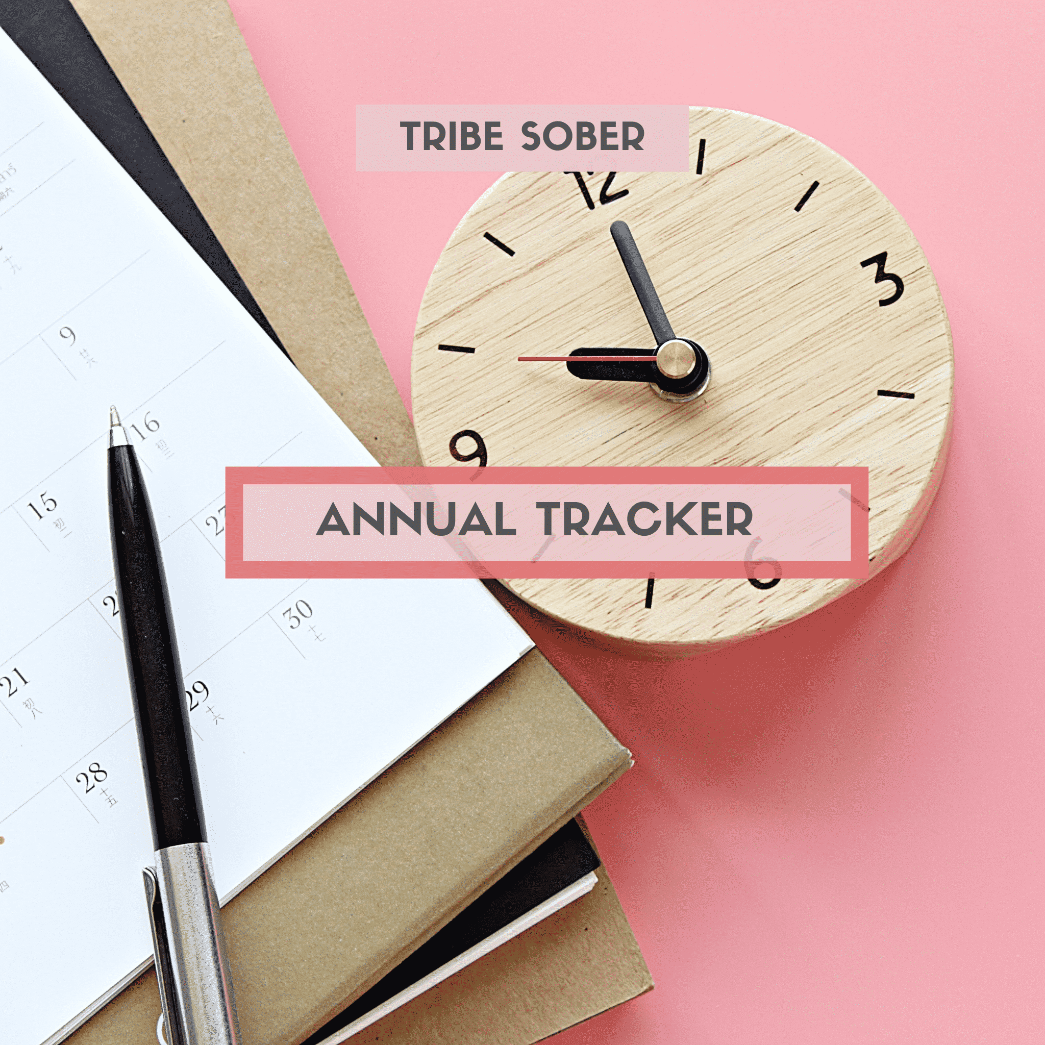 Tribe Sober annual tracker
